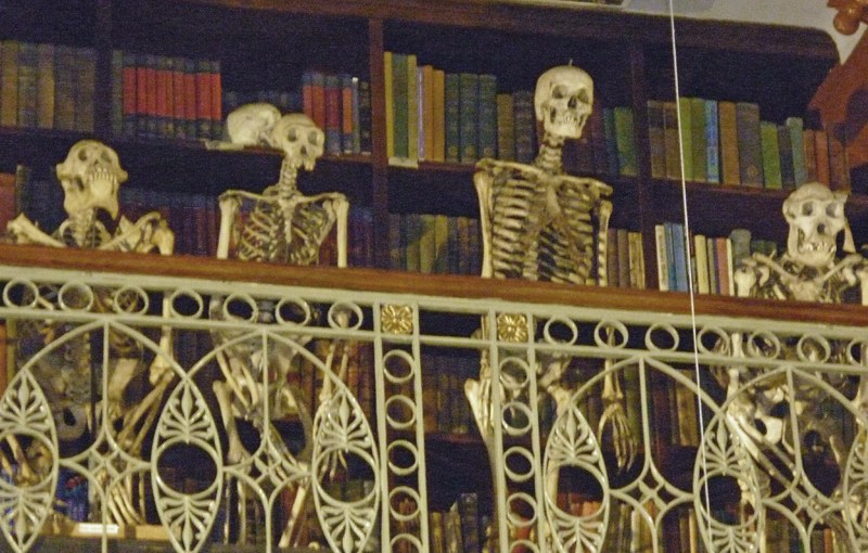 Day 11 (part 2) – Tottenham Court Road – University College London –&nbsp;Bloomsbury