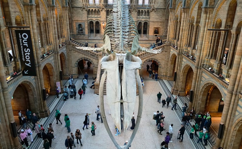 Day 83 – Fulham Road – Old Brompton Road – Cromwell Road – Natural History&nbsp;Museum